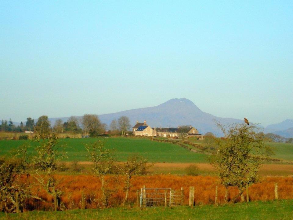 Trossachs Barn&Cabin Port Of Menteith Exterior foto